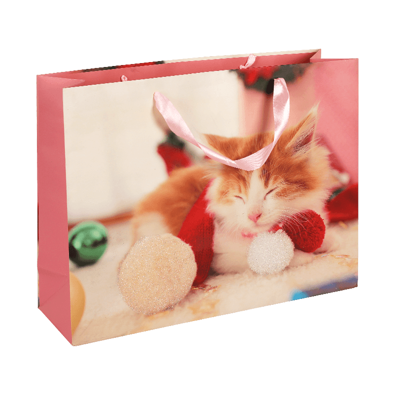 Weihnachts-Geschenkverpackungstasche mit Tiermuster